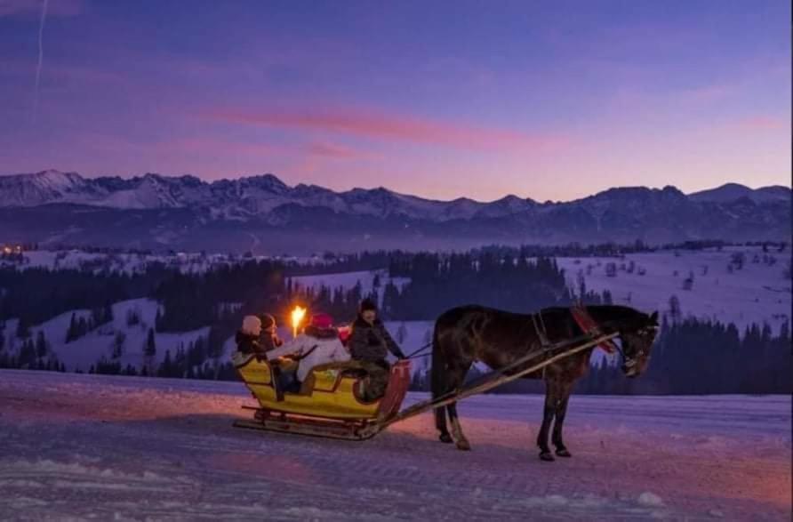Pod Giewontem Apartament Zakopane