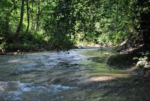 Pod Giewontem Zakopane