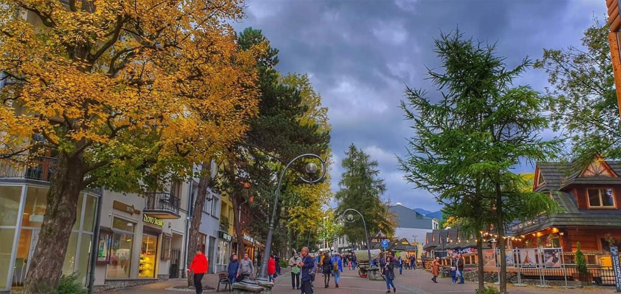 Pod Giewontem Apartment Zakopane